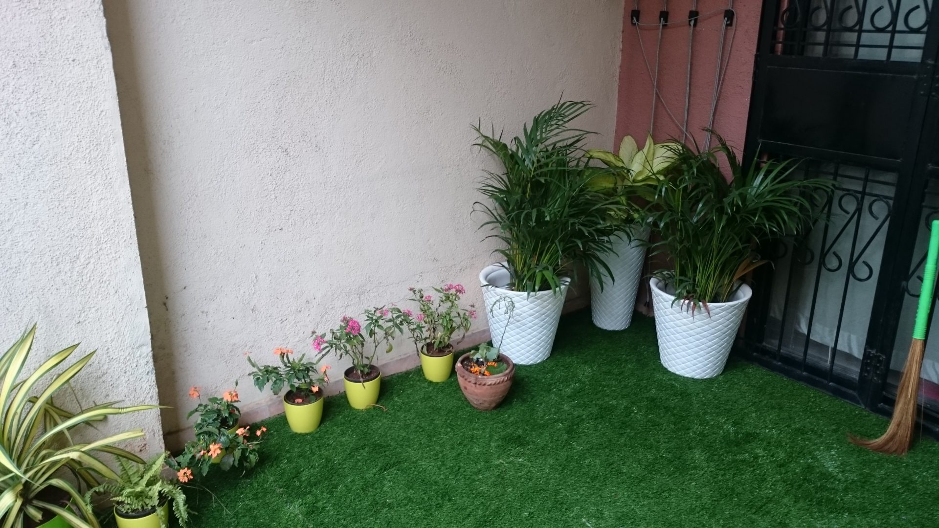 Balcony Garden Pune