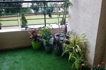 Terrace garden Pune