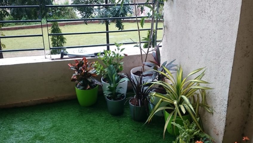 Terrace garden Pune