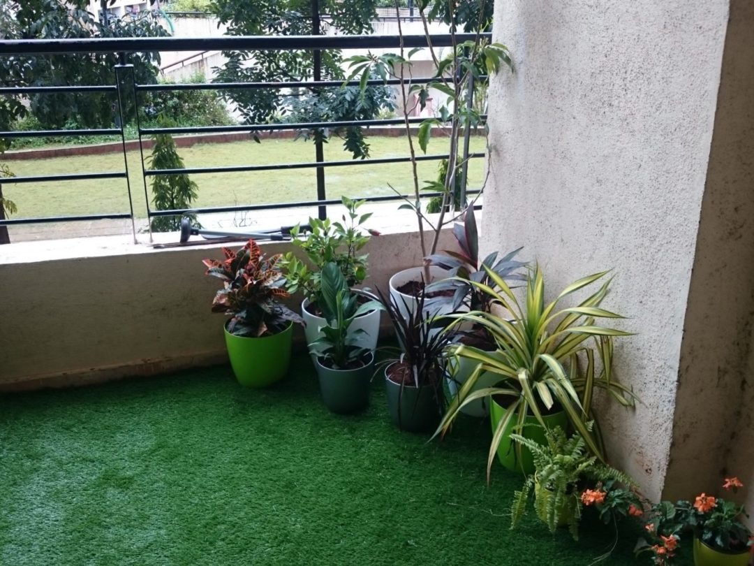 Terrace garden Pune