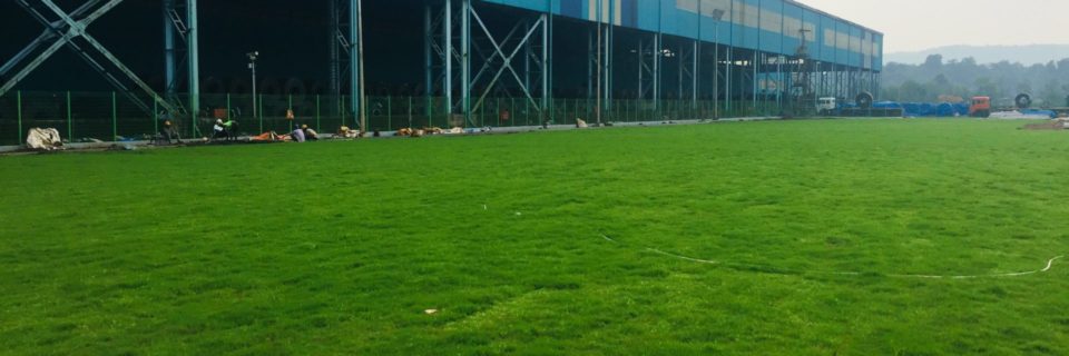 Professional Natural sports field Development