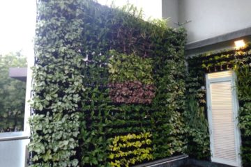 Vertical Garden Wall | Green Living Wall | Artificial Garden Wall