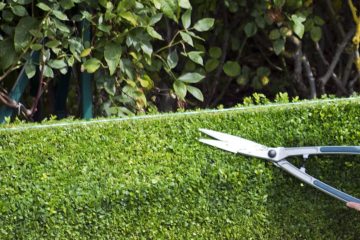 Garden Maintenance Services