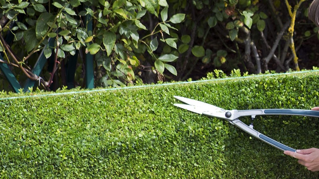 garden maintenance in pune