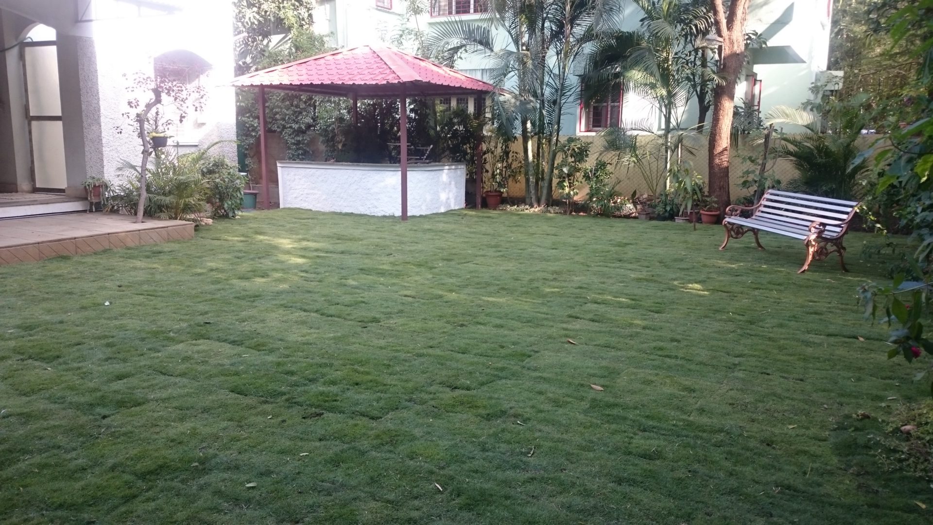 lawn grass installation fatima nagar