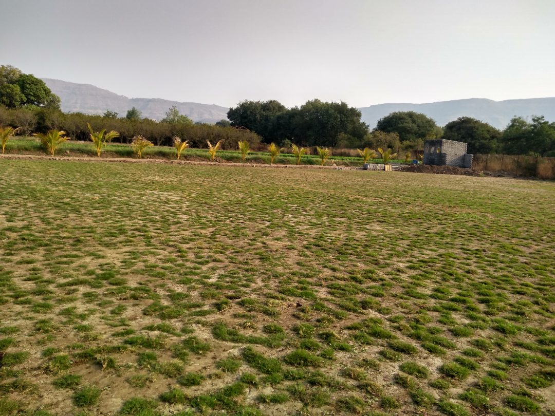 lawn installation Pune