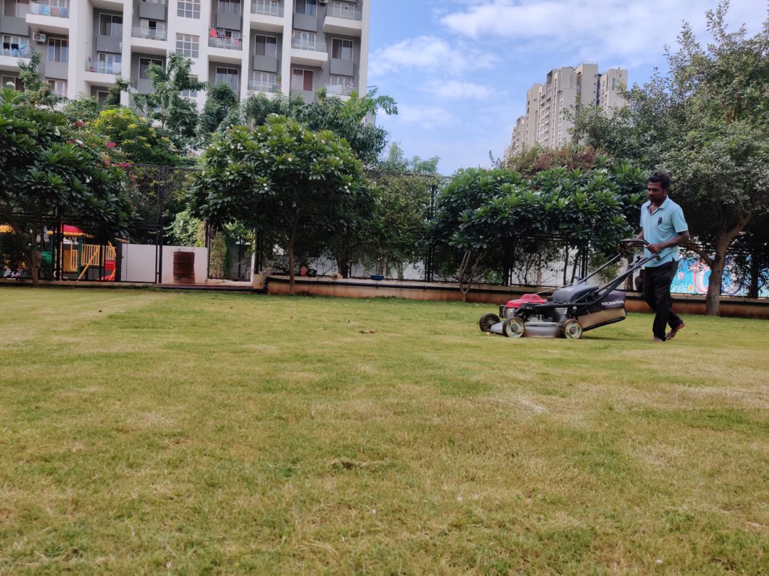 lawn maintenance pune