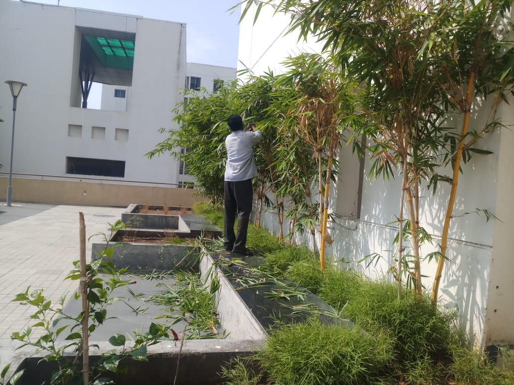 lawn maintenance pune