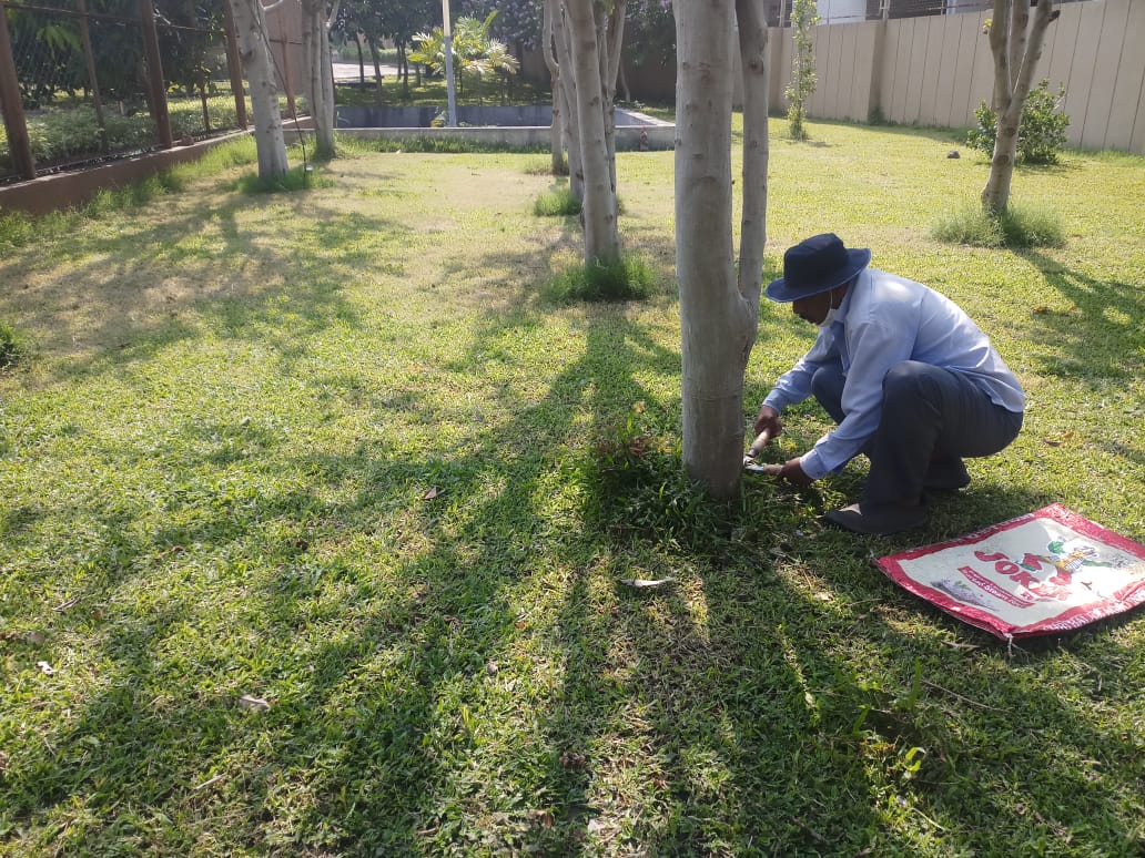 garden maintenance pune