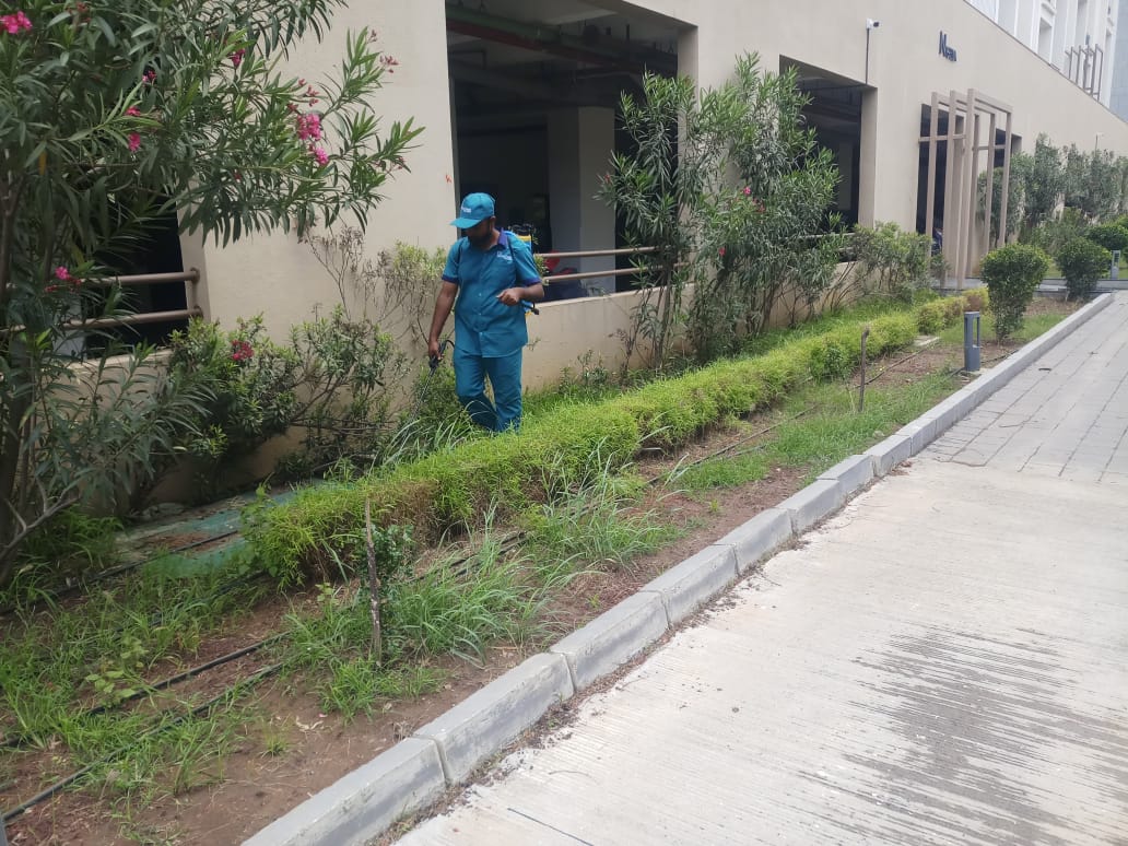 lawn maintenance pune