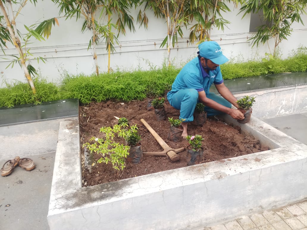 lawn maintenance pune