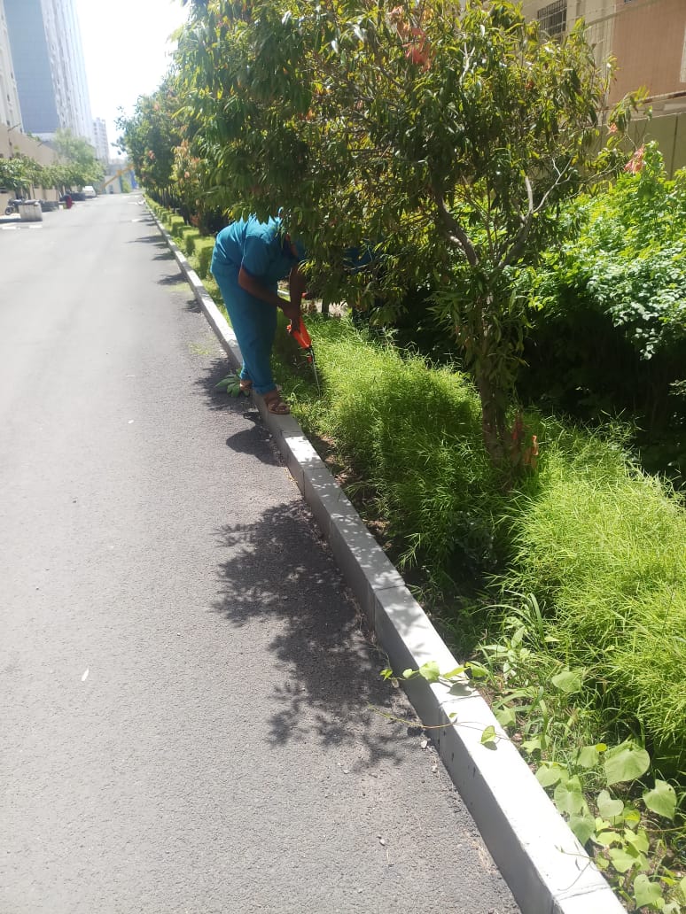 lawn maintenance pune