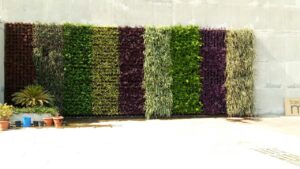 vertical garden wall outdoor