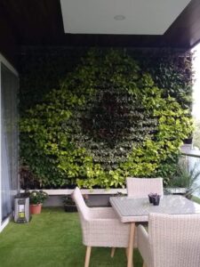 Vertical Garden Wall Pune Indoor
